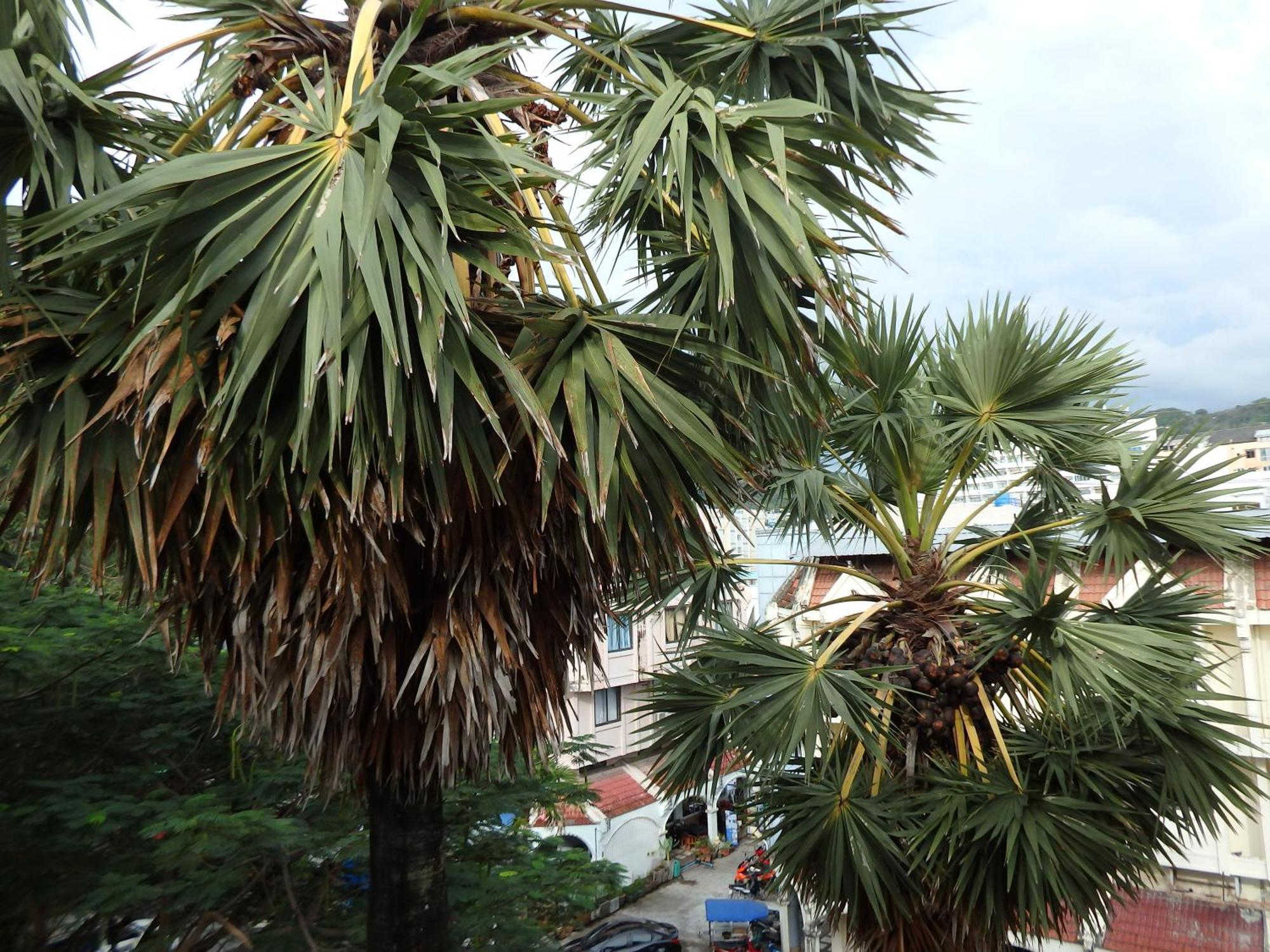 Boomerang Inn Phuket Zewnętrze zdjęcie